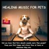 Music for Pets