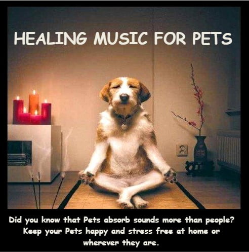 Healing Music For Pets