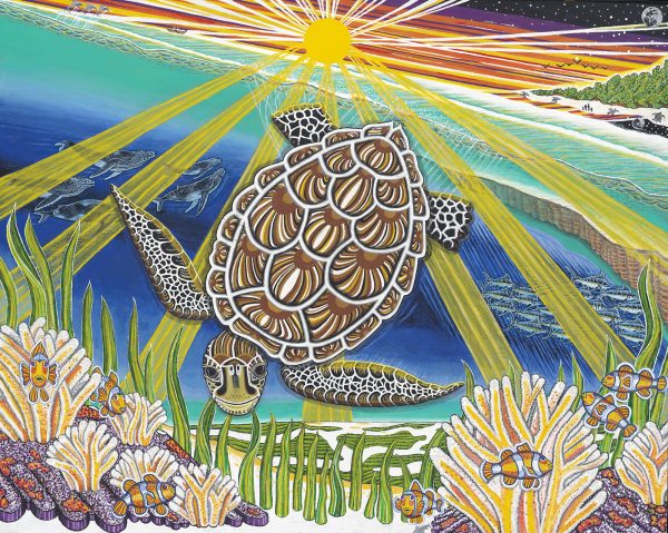 son rise lessons for a sea turtle named mama candela