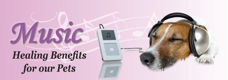 Healing Music For Pets